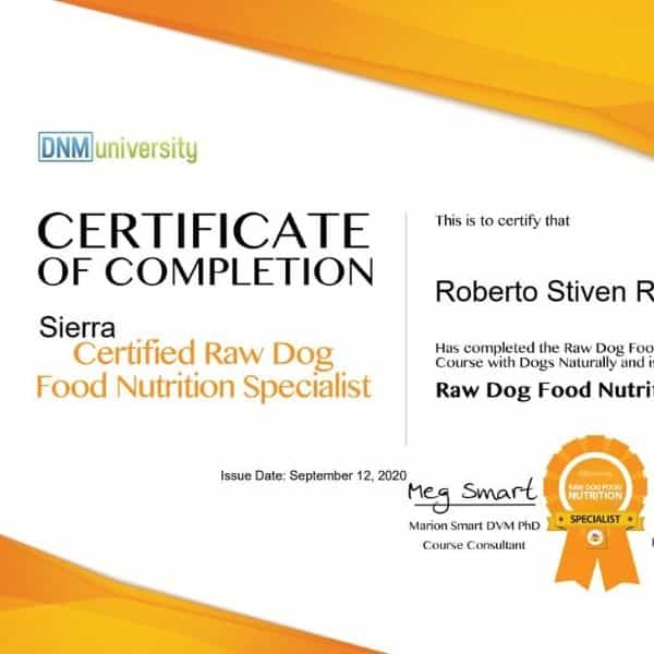 certificacion para perros