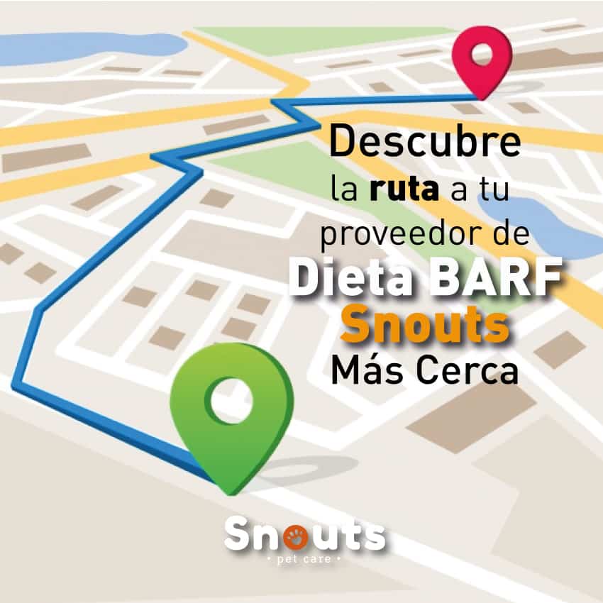 Puntos de Venta - Dieta BARF