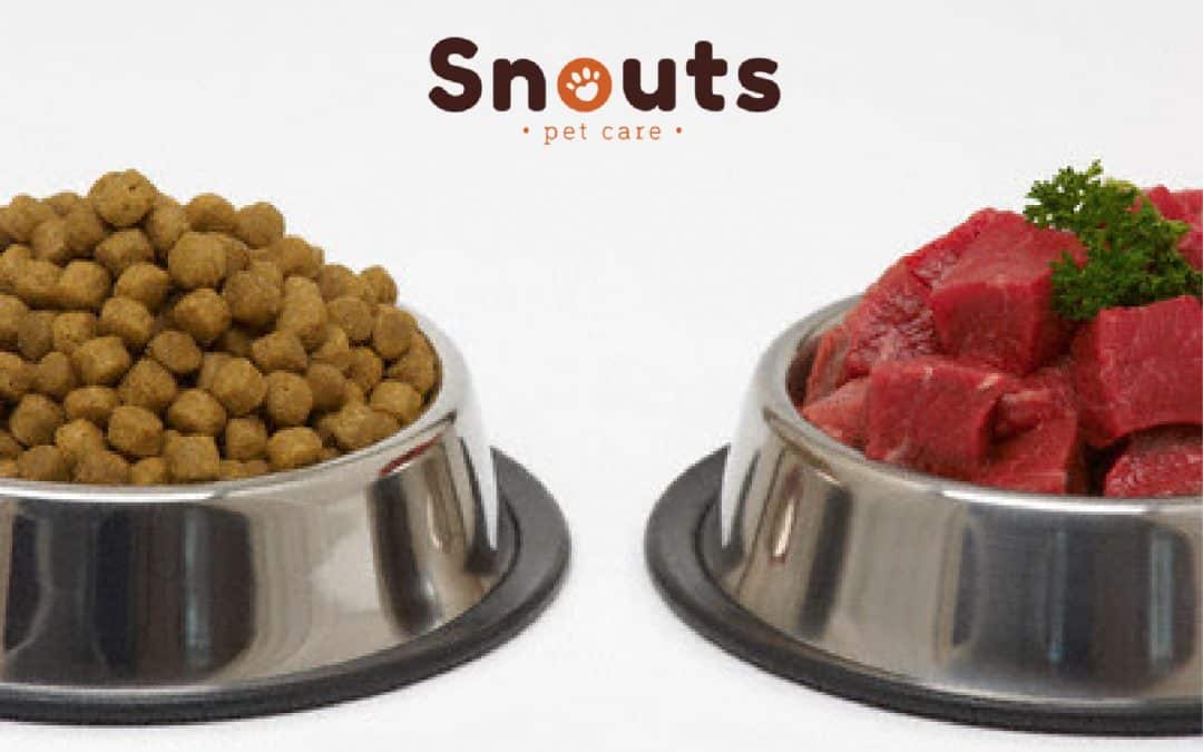 Insuficiencia renal, Alimento Natural vs Alimento Concentrado