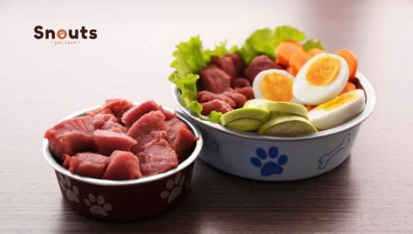 insuficiencia renal en perros