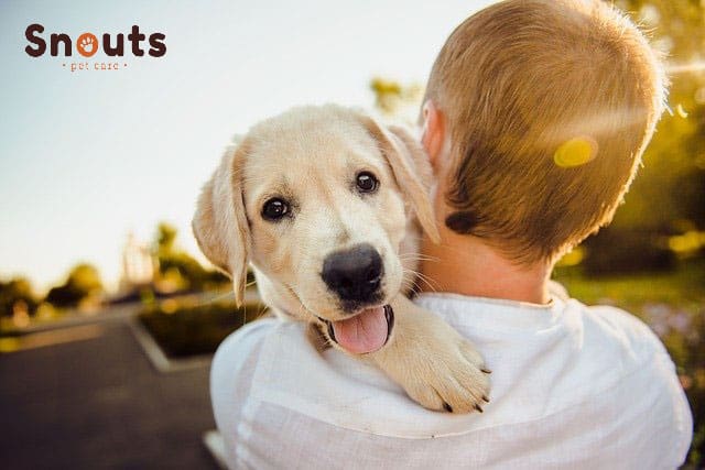 comunicarte con tu mascota