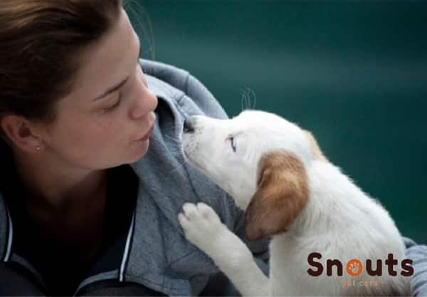 comunicarte mejor con tu mascota