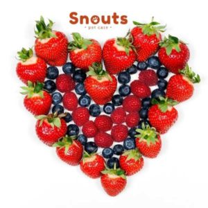 antioxidantes snouts