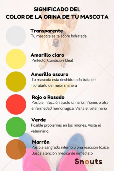 color de la orina
