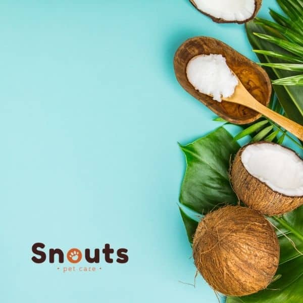 beneficios del aceite de coco