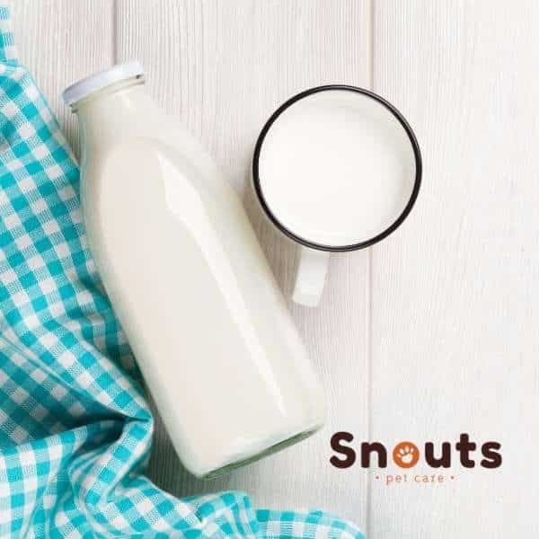 leche de cabra para mascotas