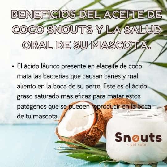 salud oral mascotas