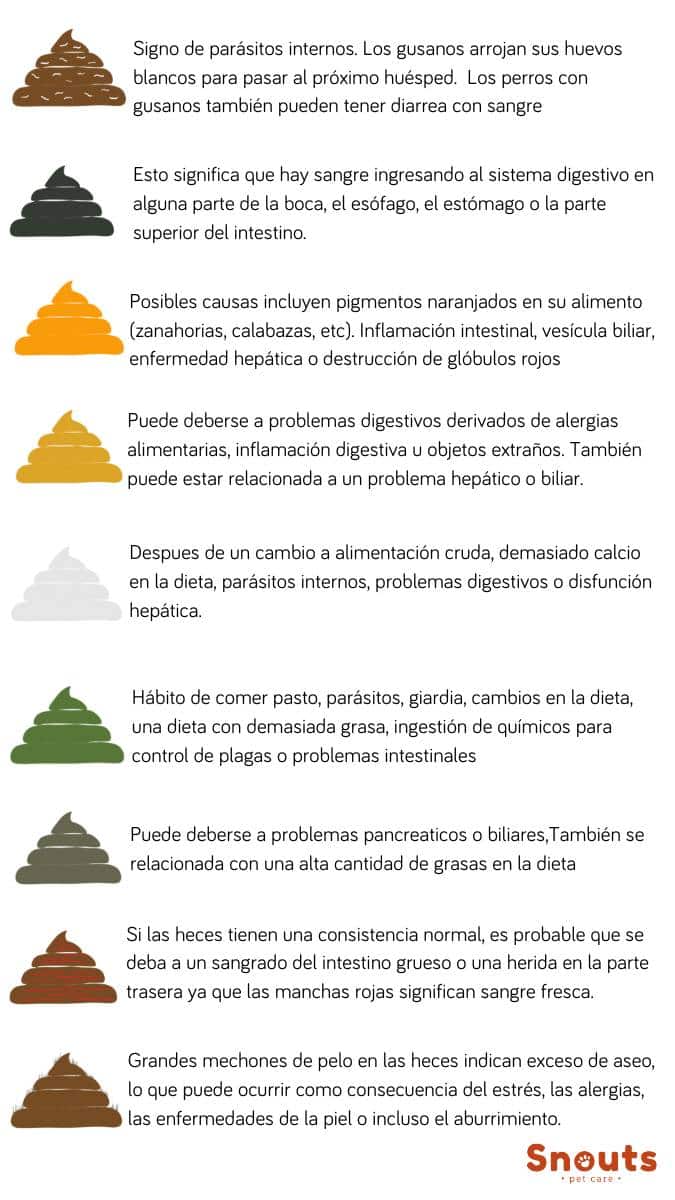 Color de heces en su perro